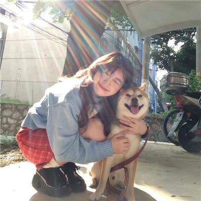 文豪野犬 Dead Apple